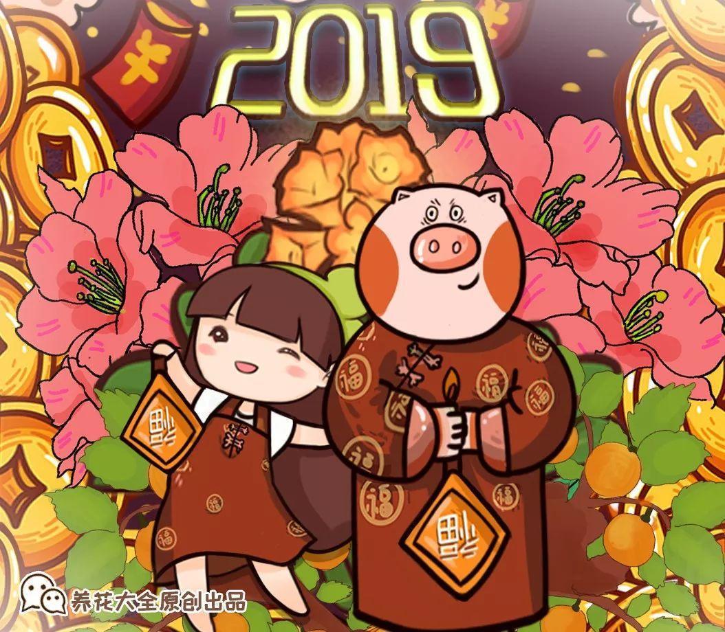 2019, 来盆旺运花, 新的一年好运连连!