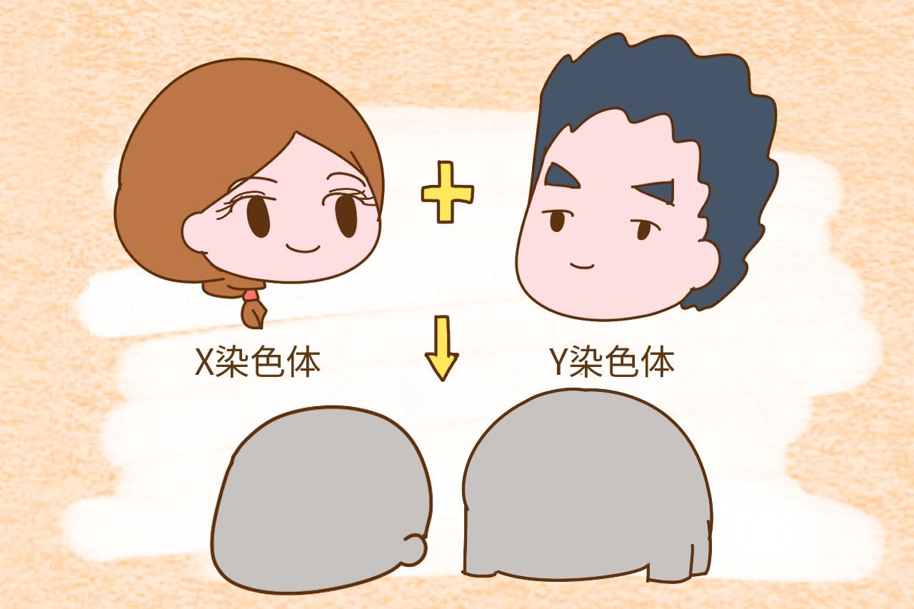 辟谣: 孕期根据孕妈口味判断胎儿性别, 真的是酸儿辣女吗?