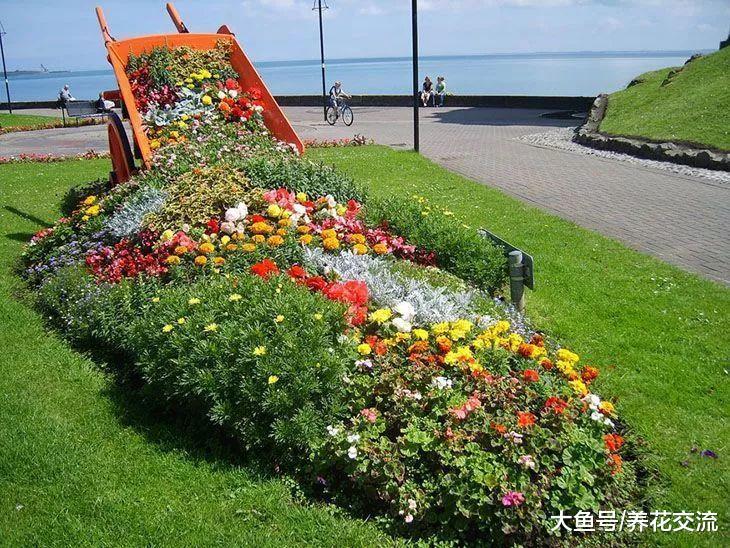 用花盆养花还能搞出新花样, 用这方法养花朵就像是溢满的花海