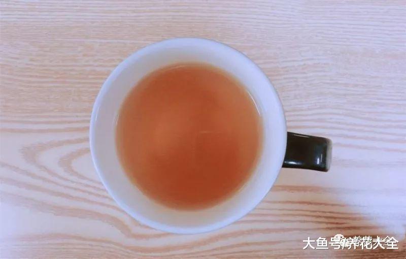 给花喷点红糖水, 花艳叶绿, 连肥料都省了!