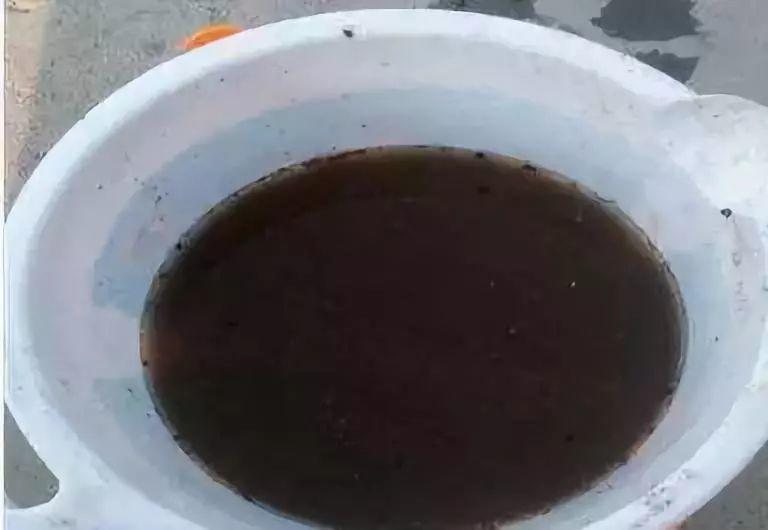 这种肥料遍地是, 捡点回来浇花, 比淘米水还管用!