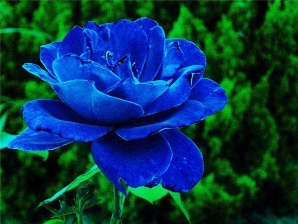 收藏这十句话, 给自己提个醒