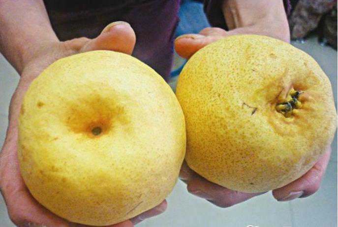 秋天一来, 吃这6种水果, 气色好到能发光