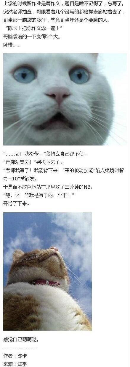 装B成功是一种怎样的体验……网友的成功案例笑死我啦