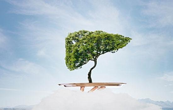 春天吃这4种食物, 便宜好吃还对肝好! 别错过这最后的养肝机会!