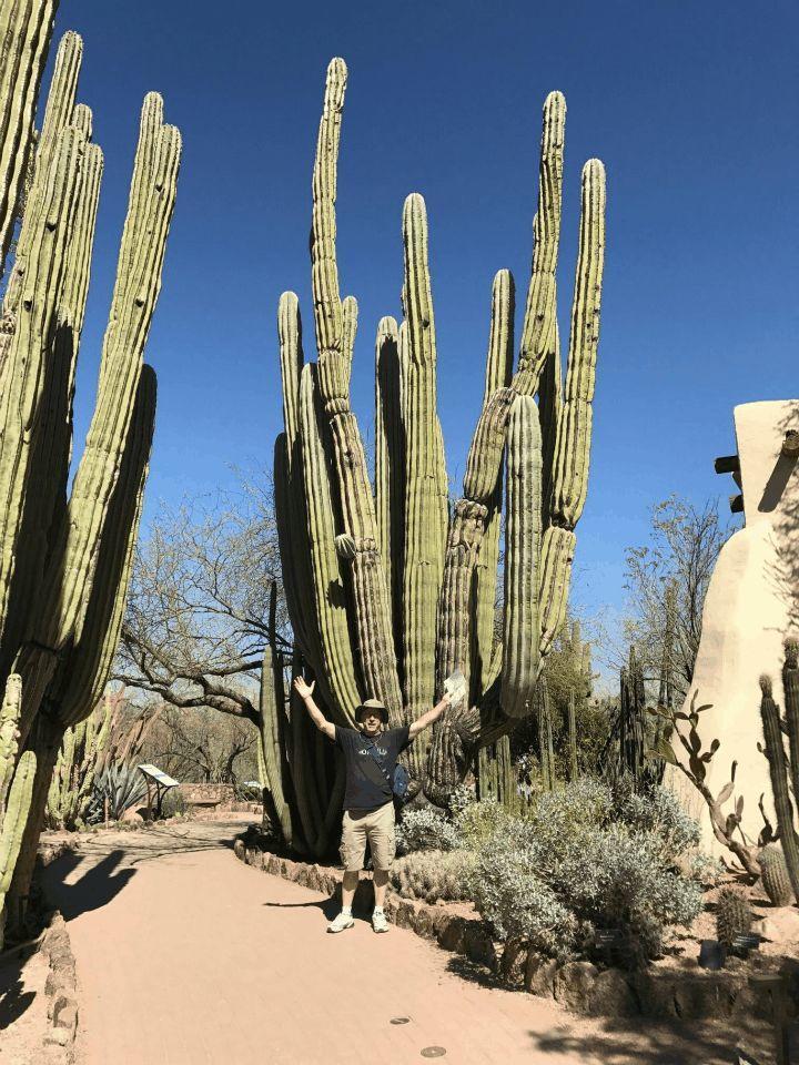 空旷的土地, 老奶奶花了40年, 打造出多肉森林!