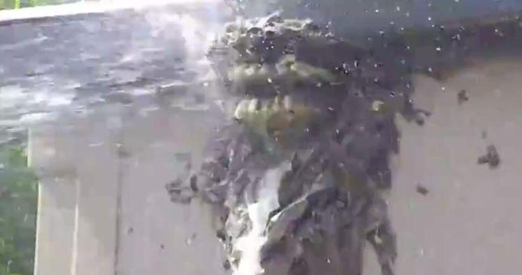 女子半年不回家, 家里来了不速之客, 让女子不敢进家门