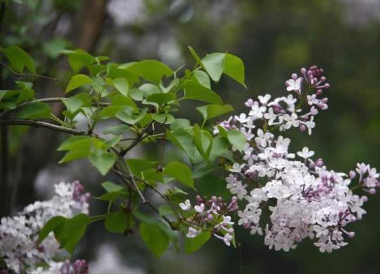专家提醒: 这几种养胃食物, 没事多吃点, 老胃病也能“不药而愈”