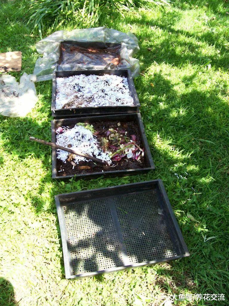 七种常见的有机液肥制作技巧, 养花不买化学肥料都没问题