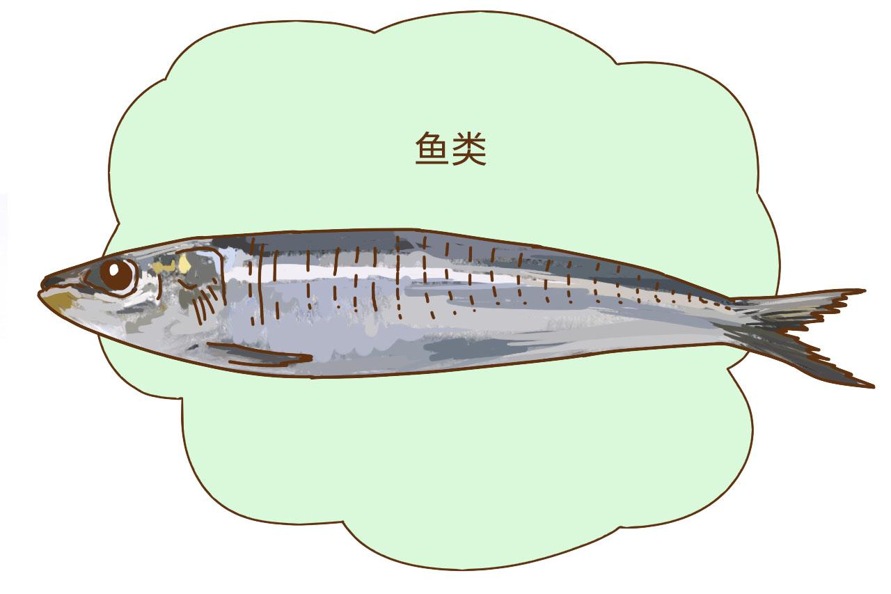 怀孕后多吃这几种食物, 可以增强身体免疫力, 孕妈别错过