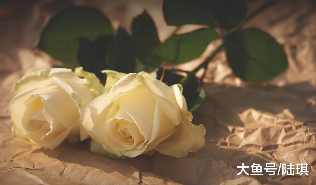 七夕, 十万人集体失恋: 我们都曾被辜负, 也曾辜负过别人