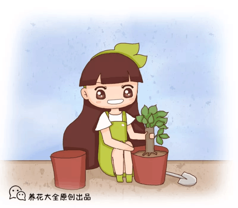 养花盆底就垫它! 疏松透气不烂根, 家家都有