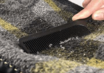 大衣起球真“尴尬”, 用这家家都有的东西, 清除效果响当当!