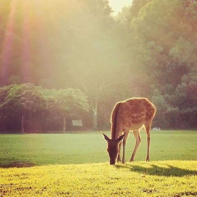 这十句话, 很适合发到朋友圈里!