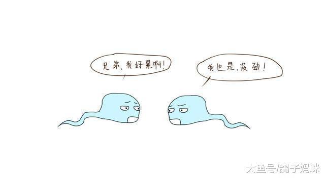 数亿的精子神秘之旅, 为何只有一个赢家?