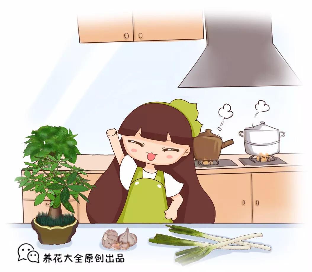 盆里扔瓣蒜, 大白根呼呼冒, 小飞虫全都不见了!