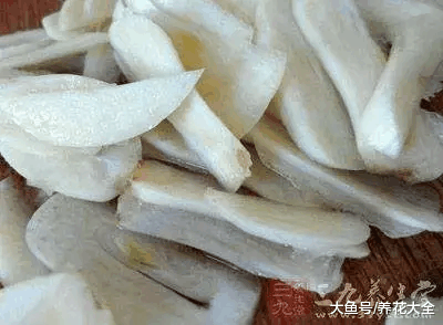 厨房里的太多东西能养花, 关键看你会不会用!