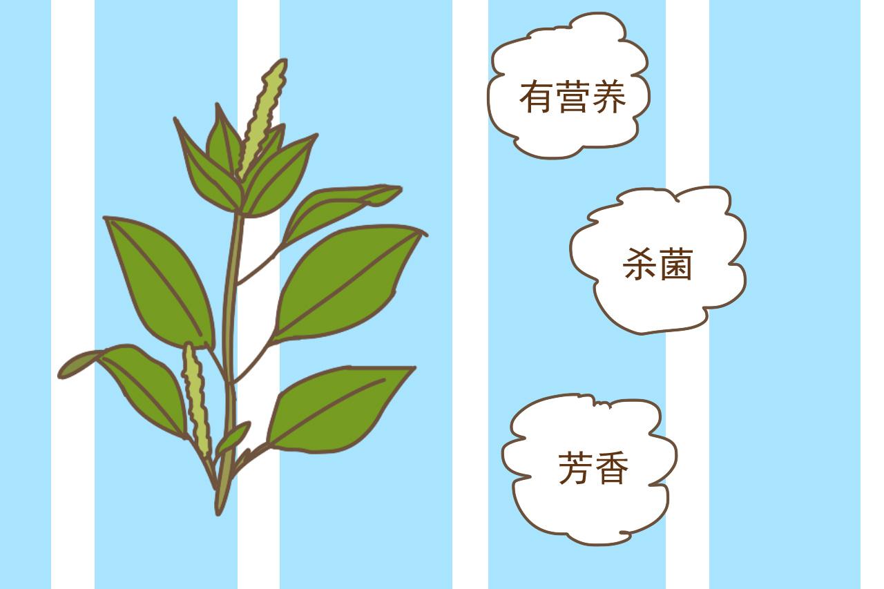 老公姓氏是大姓, 这样给孩子起名字, 大气文雅但又不烂大街