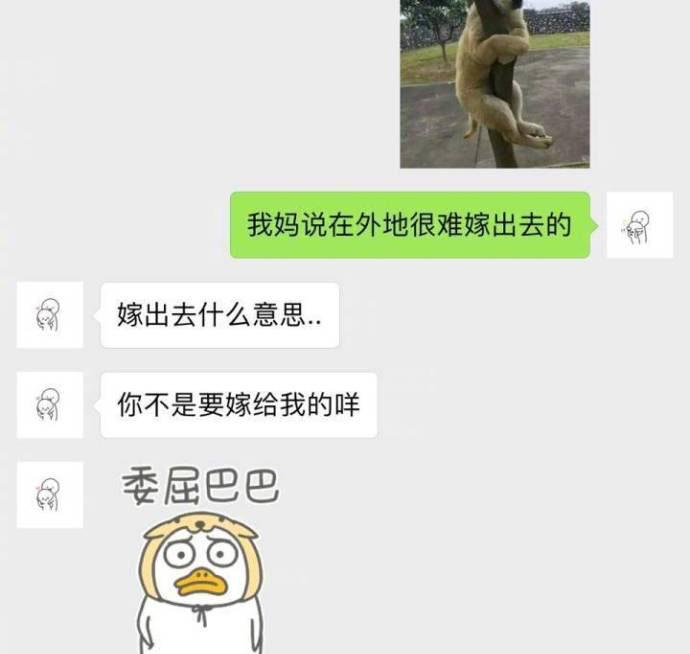 甜甜的恋爱聊天记录, 爱情是一件多么美好的事