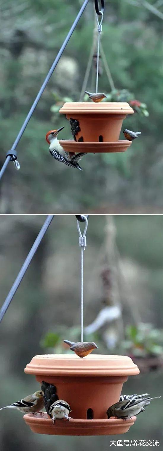 红陶盆用来养花都觉得浪费, 8个花盆园艺创意