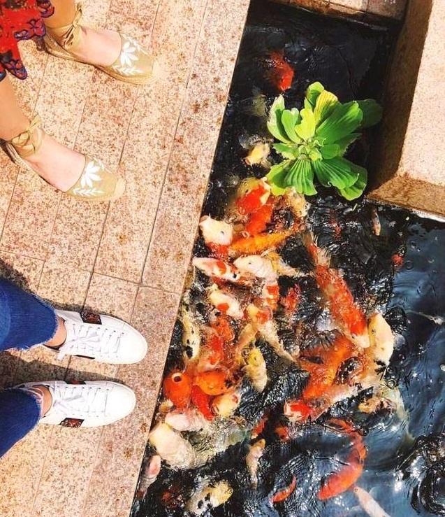 不经意间的炫富最可怕! 邓文迪女儿到北京度假, 意外曝光1亿豪宅!