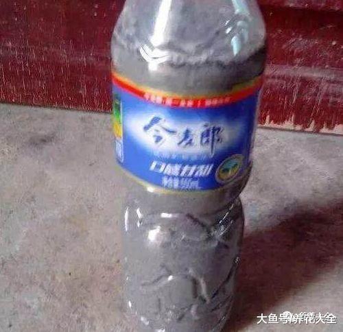 虫子比花长得都快? 那就撒点这个, 比杀虫剂还管用!