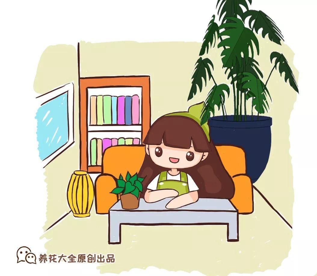 买回家的花, 摆放位置是关键, 长得茂盛还旺家!