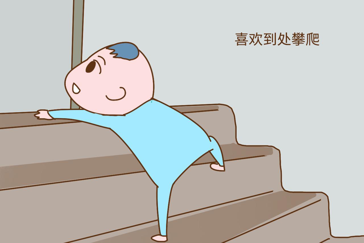宝宝喜欢高处攀爬不要怕, 五大防坠落设施, 给宝宝全方位的保护