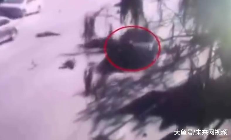 葫芦岛各县区经济总量排名_葫芦岛地图