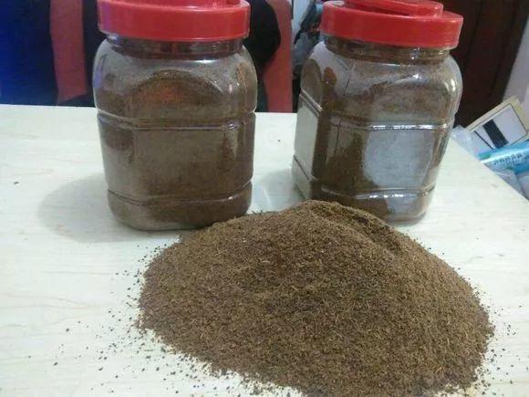给花浇点洗头水, 虫子一碰就丧命, 花朵猛开刹不住!