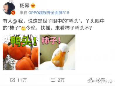 《扶摇》播放量破20亿, 杨幂承认替身问题, baby粉丝却怒了!