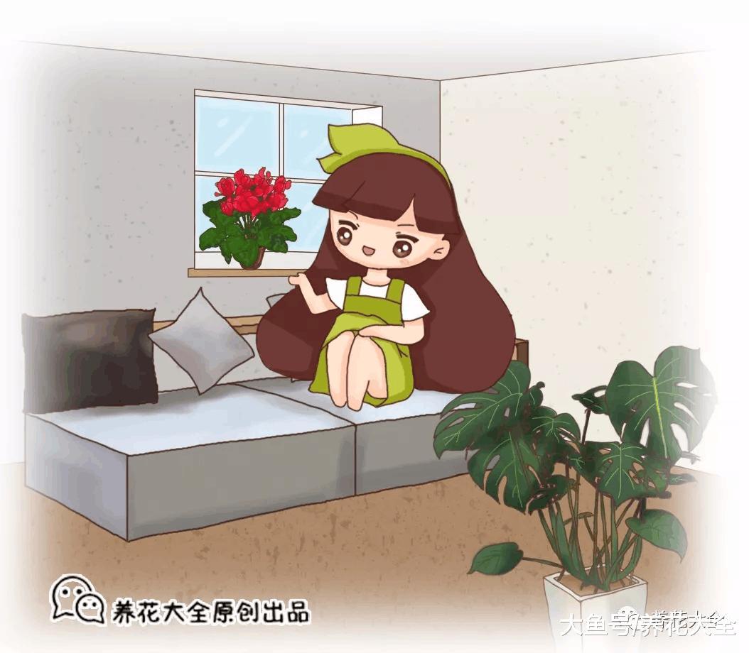 养了十几年花, 位置最后还没放对, 白养了