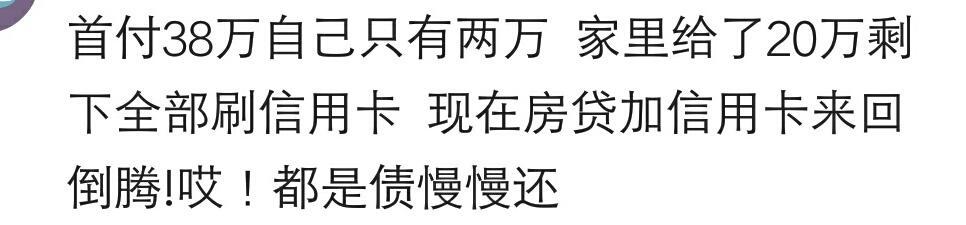 说说买房你自己出了首付钱的多少? 网友: 首付二十万, 借了十八万