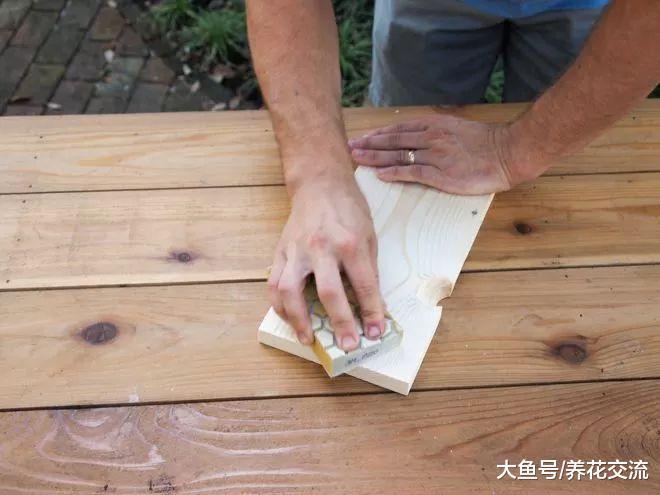 ?适合养在木板上的鹿角蕨, 挂在墙上能变成好看的装饰植物