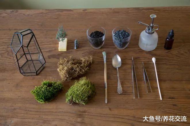 适合自己在家里DIY的几个精美创意植物景观