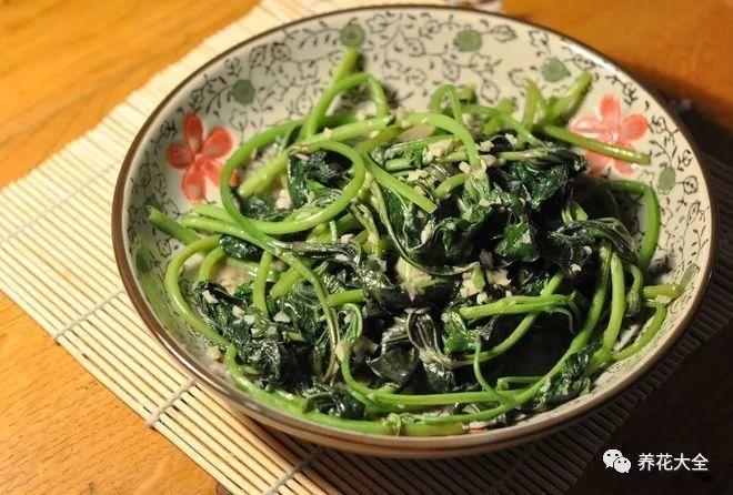 夏天快吃长寿菜, 路边到处都是, 掐根枝扔水里就活!