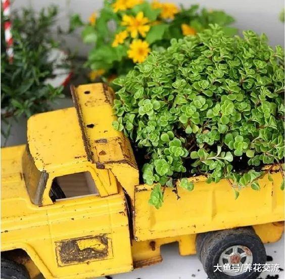 17种用家里的废弃物品制作出来的盆栽花卉, 变成迷人的景观