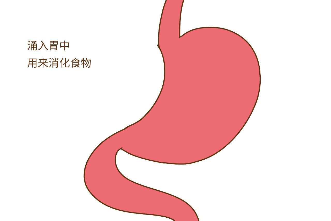 吃完饭就让孩子做这件事, 孩子不变笨才怪, 可惜很多家长还在做