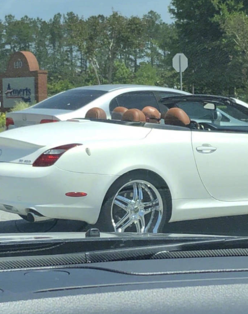 这车上一共有几个人？ 