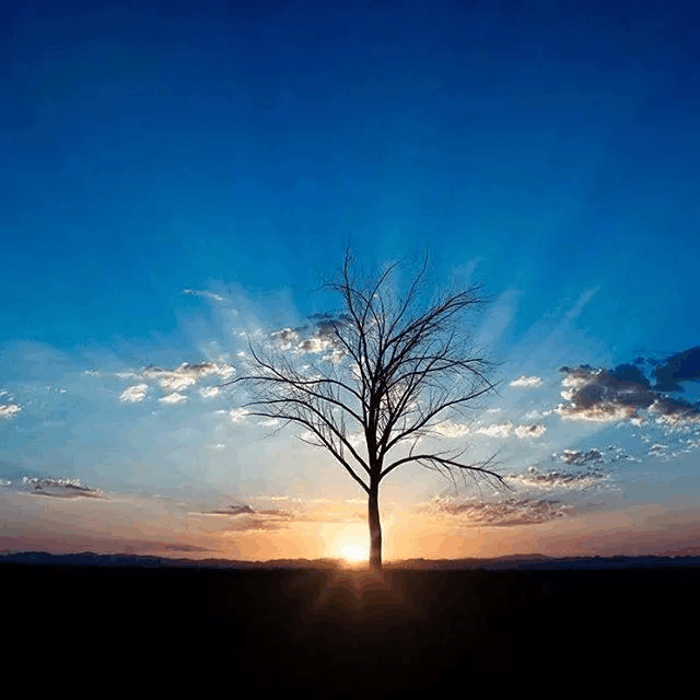 霸气有点拽的伤感短句, 最新个性签名