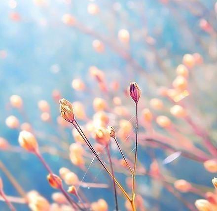 未必要马上认同这十句话, 等你阅历多了就明白了