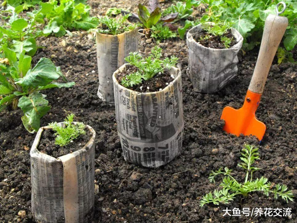 废弃的容器变成实用的养花利器, 5种节俭的园艺技巧