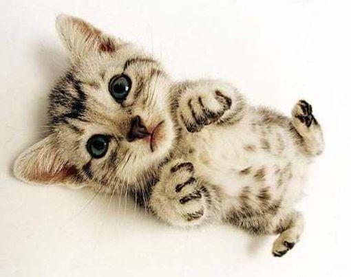 有时候之所以相信一个人说的话, 是因为他说了你想听的话