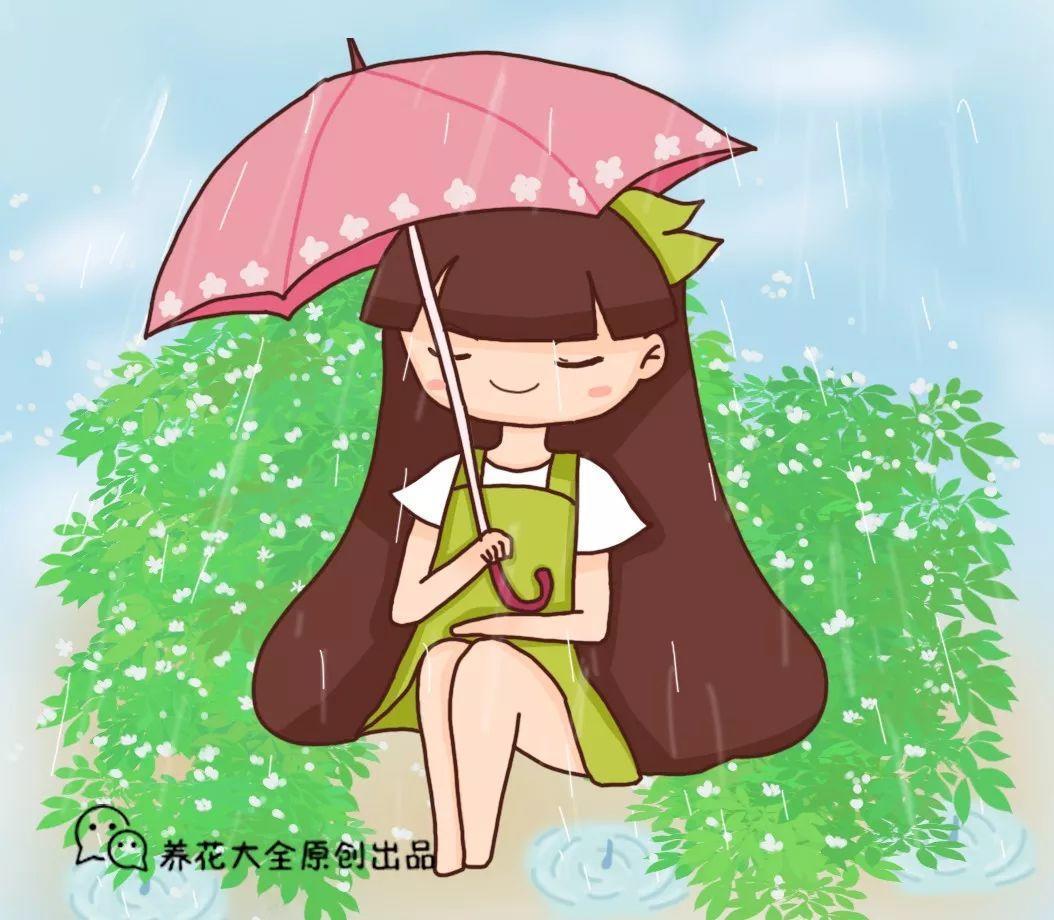 这8种花, 就爱喝雨水, 越淋雨长得越壮实!