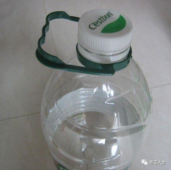 烂掉的葡萄别扔, 存起来给花用, 安稳度夏还能蹭蹭长!