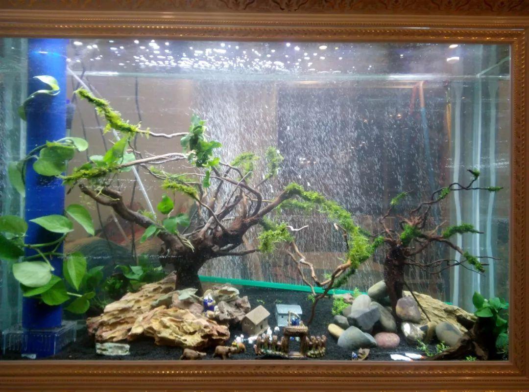 2种料掺一起, 堪比养花组合拳, 大冬天也能呼呼长个!