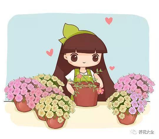 这5种花欠收拾, 夏天给它剪两刀, 10天又能开一箩筐!