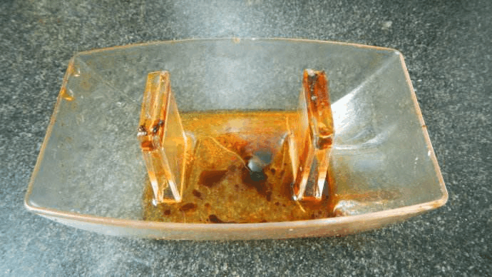 观叶植物不好养? 给它喝点“废油”, 棵棵叶子挺立又油亮!