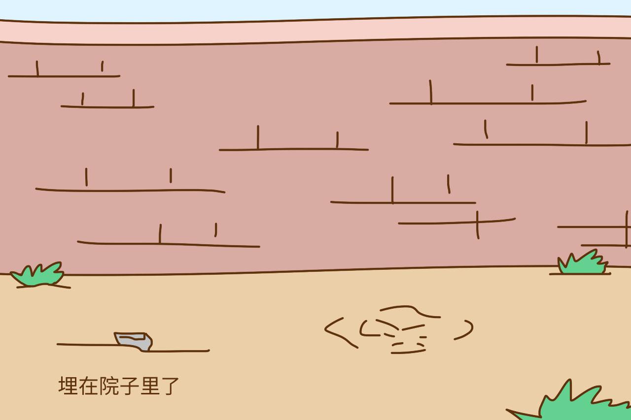 宝宝出生后, 胎盘怎么处理? 网友: 直接剁馅儿包饺子了
