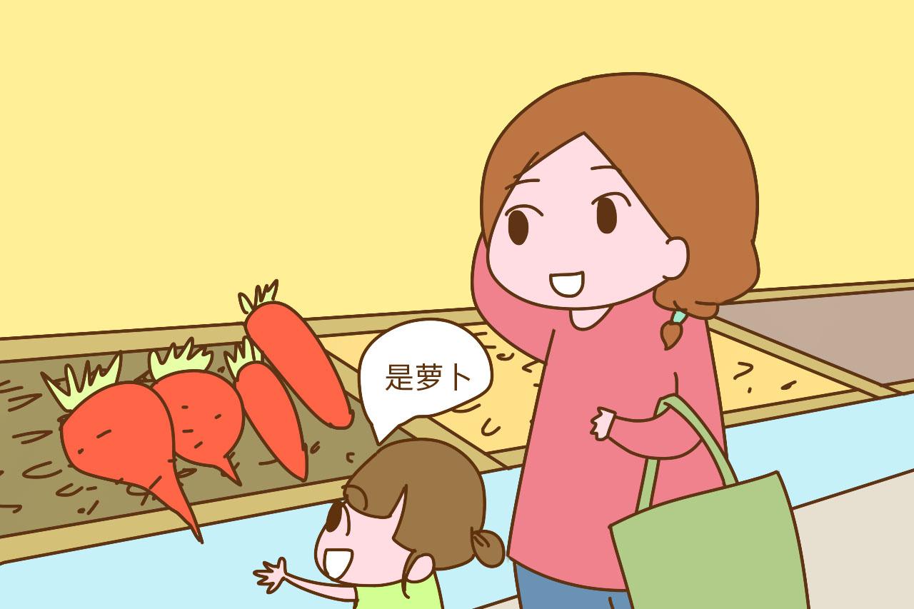 不爱吃蔬菜的孩子真让人头疼, 妈妈可以试试这3个办法
